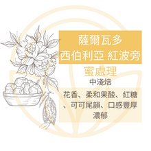 將圖片載入圖庫檢視器 💥2組免運 [Háau 巧] 自家烘焙咖啡 020 |  薩爾瓦多 西伯利亞 紅波旁
