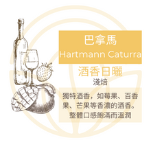 將圖片載入圖庫檢視器 💥2組免運 [Háau 巧] 自家烘焙咖啡 021 |  巴拿馬 Hartmann Caturra 酒香日曬
