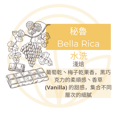 秘魯 Bella Rica 掛耳包 咖啡豆 自家烘焙