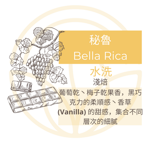 秘魯 Bella Rica 掛耳包 咖啡豆 自家烘焙