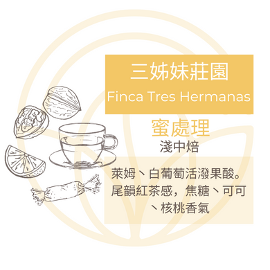 Finca Tres Hermanas 三姊妹莊園 掛耳包 咖啡豆 自家烘焙